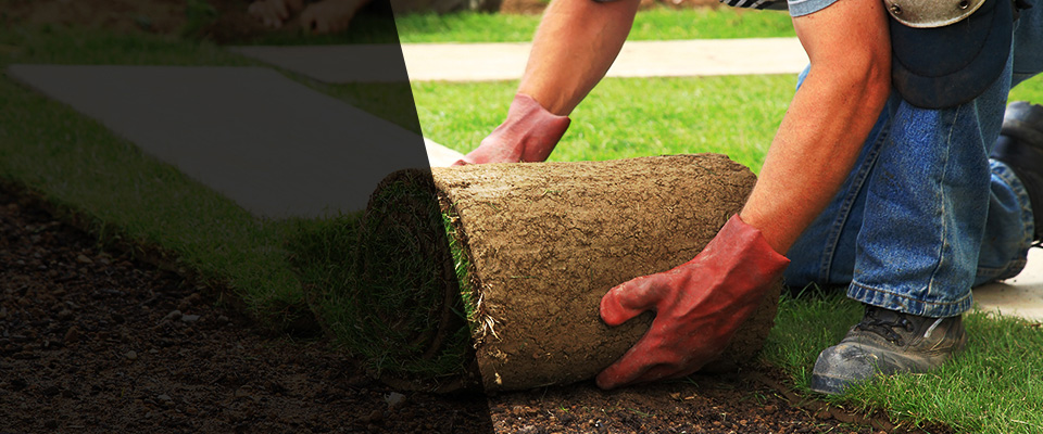 Blue Island Landscapers